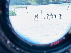 -翠湖国家城市湿地公园