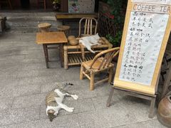-悟饮门市景店