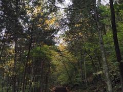 -吉林拉法山