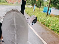 -杏花村文化旅游区