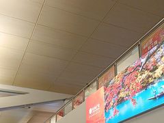 -厦门高崎国际机场-T3航站楼