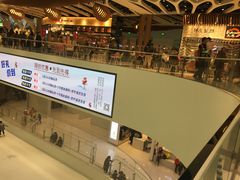 -TheRink大零溜冰场(IFS国金中心店)