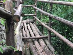 -王顺山国家森林公园
