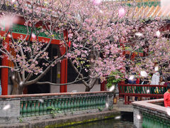 -宝墨园景区