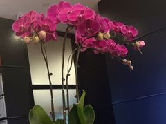-长沙豪布斯卡酒店(长沙省政府德思勤店)