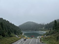 -武陵山森林公园