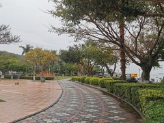-音乐广场