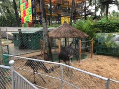 -三亚亚龙湾天域度假酒店