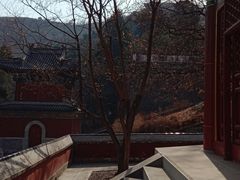 -香山公园