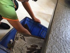 -荣德灶台鱼(圣泉寺店)