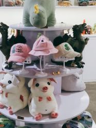 -恐龙探索乐园(磁器口店)