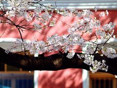 -浙江省杭州高级中学(贡院校区)