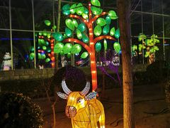 -南宫五洲植物乐园