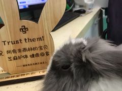 -雨林宠物医院 非犬猫异宠专科