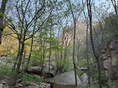 -大岭沟猕猴桃谷风景区