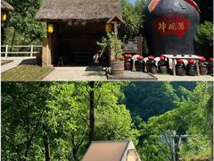 -栾川竹海野生动物园