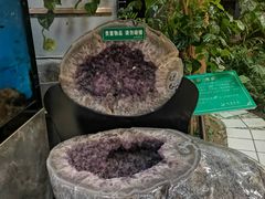 -九尊食上(生态园林酒店)