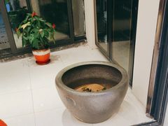 -德艺康筋膜康复中心·艾灸·推拿·抗衰