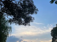 -南翔镇银翔湖公园