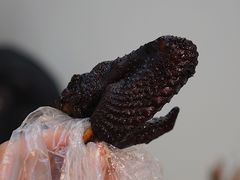 -大叔家福鼎小吃(十全街店)