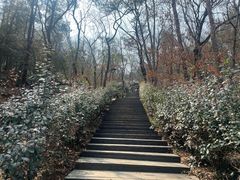 -虞山风景区