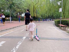 -康庄公园