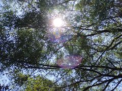 -南国桃园旅游度假区