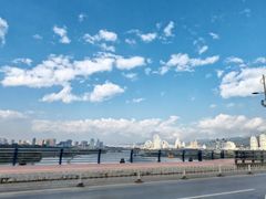 -西双版纳原始森林公园