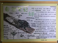 -上海昆虫博物馆