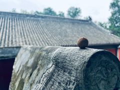 -八大处公园
