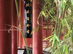-中国唐苑