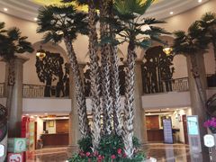 -圣爵菲斯大酒店(长沙世界之窗店)