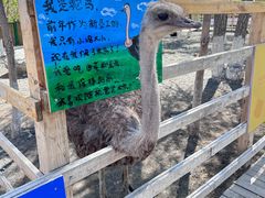 -水上乐园·欢乐世界