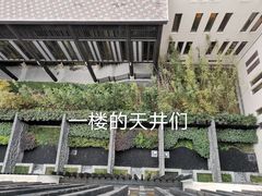 -上海崇明金茂凯悦酒店