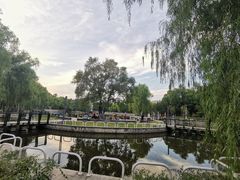 -黛秀湖公园