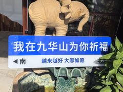 -九华山风景区