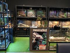 -FAIRYLAND龙族星球主题餐厅(凯丹广场店)