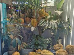 -猫王榴莲世家(三里屯SOHO商场店)