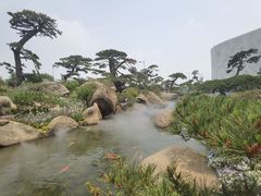 -罗红摄影艺术馆