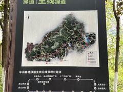 -杭州半山国家森林公园
