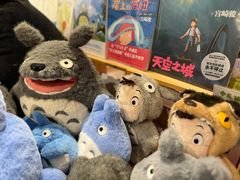 -猫的天空之城概念书店(苏州平江店)