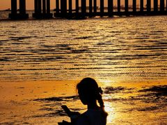 -宝安西湾红树林湿地公园