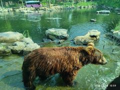 -北京野生动物园