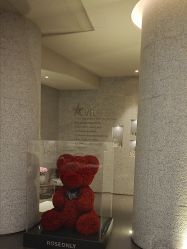 -VELEE·SPA高定疗愈会所