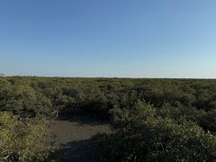 -北海金海湾红树林生态旅游区