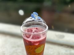 -野草莓自由市场