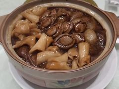 -东国海鲜火锅城(氹仔店)