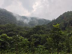 -牛背梁国家森林公园