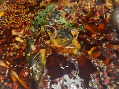 -味之绝热血美蛙鱼火锅(中坝店)