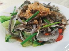 白灼鱼皮葱-禄源公·老莞诚饭店